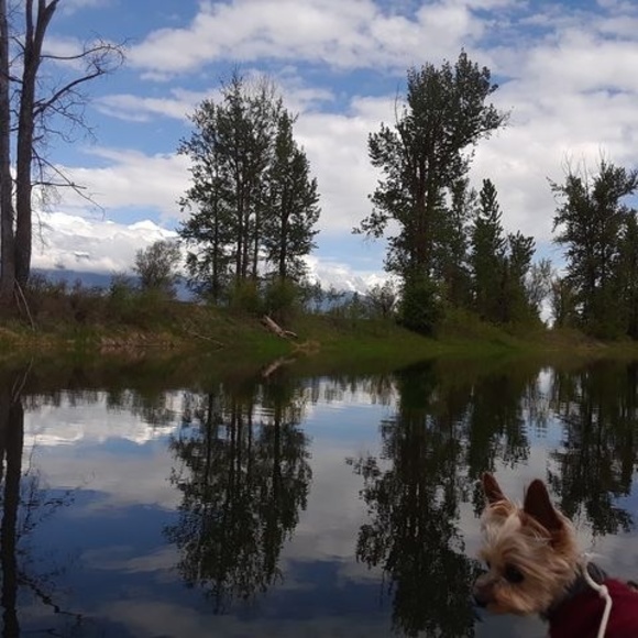 Meet your Posher, Corine - Picture 1 of 1